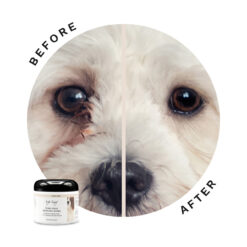 Eye Envy - Tear Stain Remover - Hond - Ready To Use - Traanvlek Verwijderaar - 60 stuks wattenschijfjes - Afbeelding 6