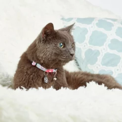 Max&Molly - GOTCHA! - Smart ID Cat Collar - Afbeelding 11