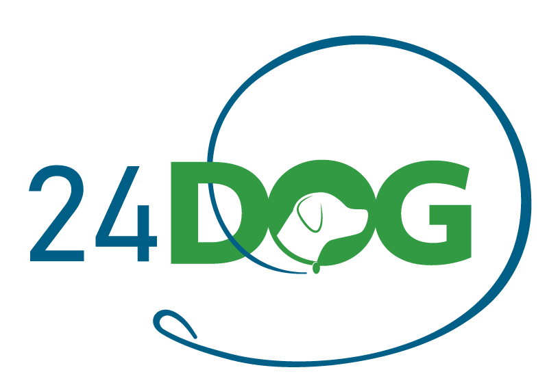 24Dog