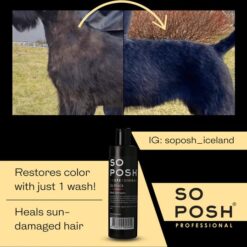 So Posh - So Black - Honden Shampoo - Donkere Vachten - Zonder Bleekmiddelen - Parabenen En Siliconen Vrij - 250ML - Afbeelding 3
