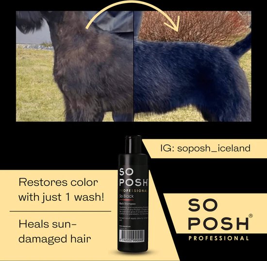 So Posh - So Black - Honden Shampoo - Donkere Vachten - Zonder Bleekmiddelen - Parabenen En Siliconen Vrij - 250ML - Afbeelding 3