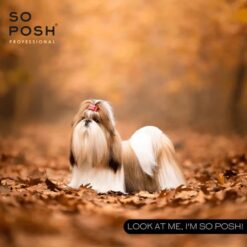 So Posh - So Sleek - Finishing Cream - Ontklit en Verzorgd - Zonder Parabenen En Siliconen - 250ML - Afbeelding 4