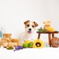 Show Tech - Bubble Bliss - Honden Shampoo Bar - Kalmeert De Geirriteerde Huid - Zonder Parabenen en SLS/SLES - 90g - Afbeelding 4