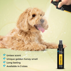 Groom Professional - Golden Honey Honden Parfum - 100ML - Afbeelding 3