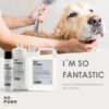 So Posh I'm So Fantastic hondenshampoo met collageen en keratine