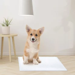 Record - AssorbiPiu - Puppy Pads - 60x60 - Afbeelding 3