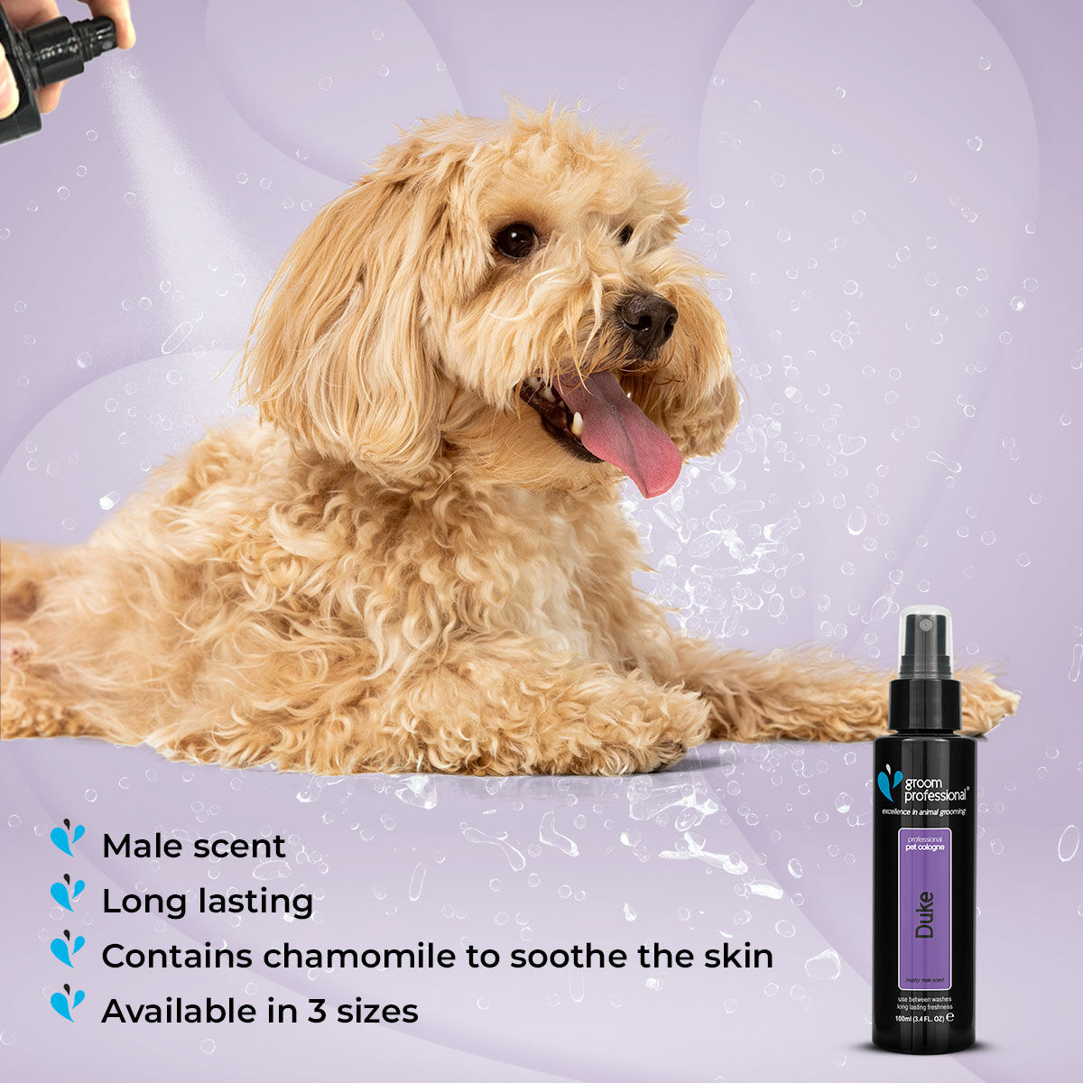 Groom Professional - Duke Honden Parfum - 100ML - Afbeelding 4