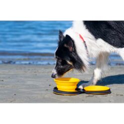 Alternative view of Kiwi Walker - Voer En Drinkbak - Voor Onderweg - 2x 350ML