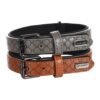 Flamingo Patti Halsband Hond