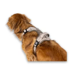 Max&Molly - GOTCHA! Sport 2.0 - Harnas - Smart ID - Afbeelding 7