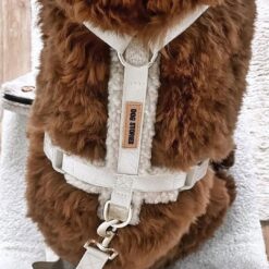 Atelier Dog Stories – Hondentuig – Teddy - Afbeelding 4